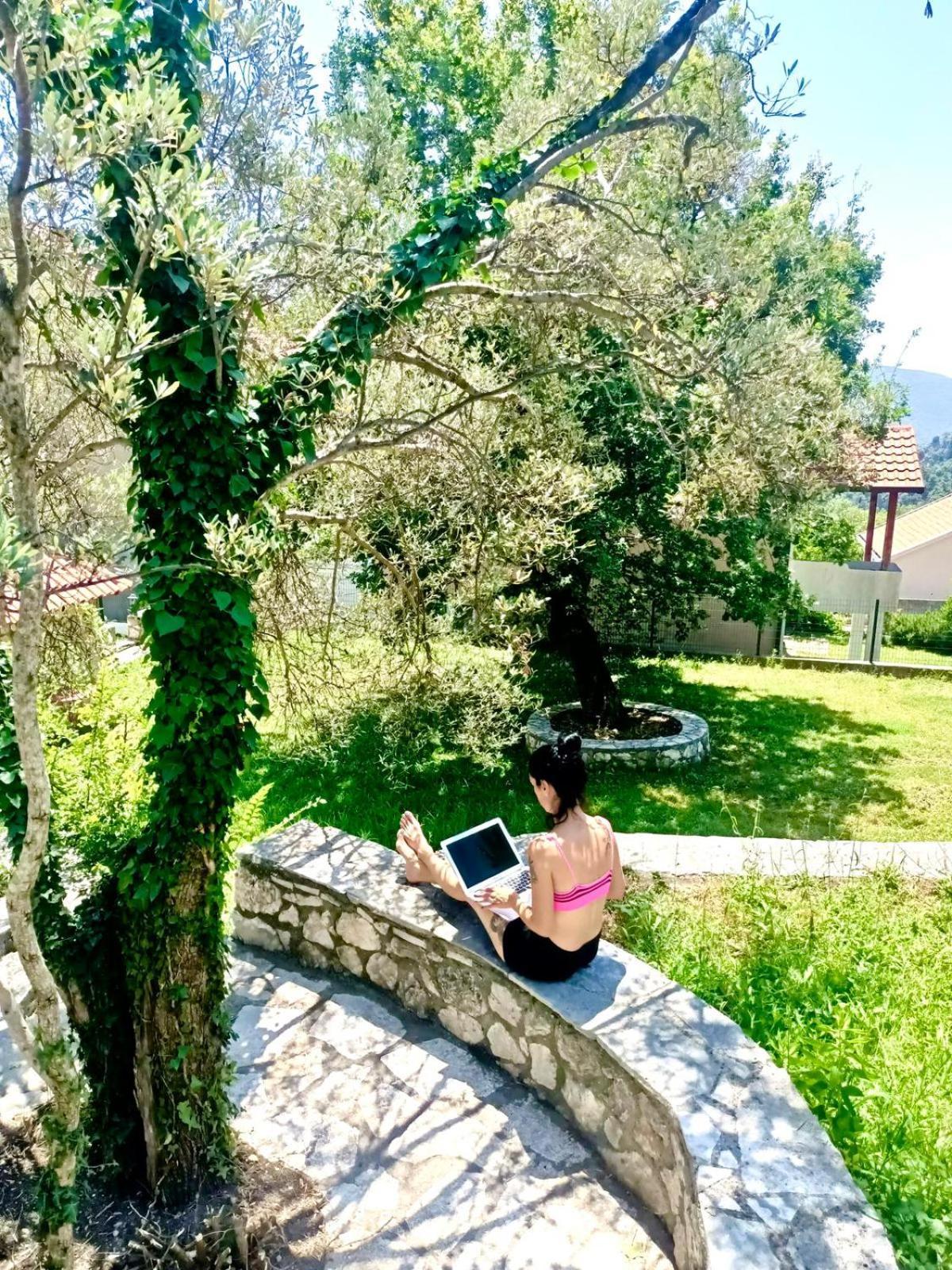 Hotel Vila Oaza Markovici