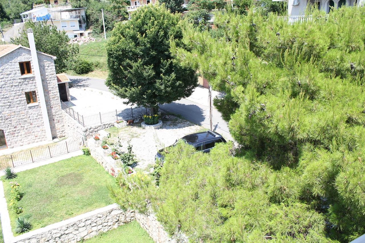 Vila Oaza Markovici 3*