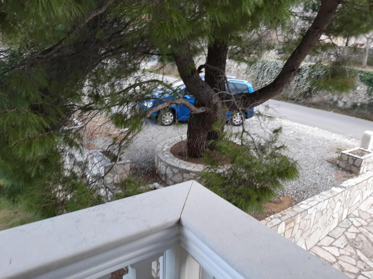 Hotel Vila Oaza Markovici 3*